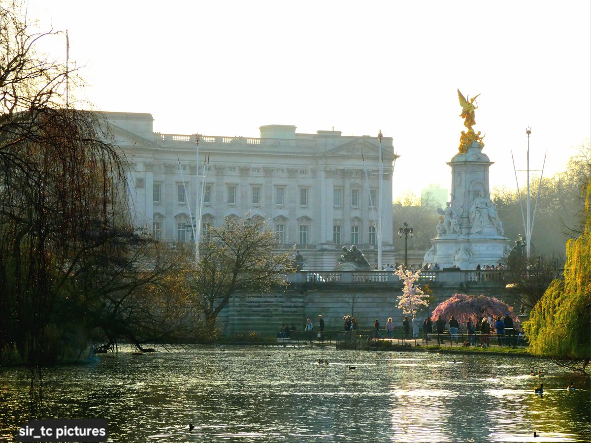 Photos from some of the parks in London #birdphotography #naturephotography #wildlifephotography #Londonphotography