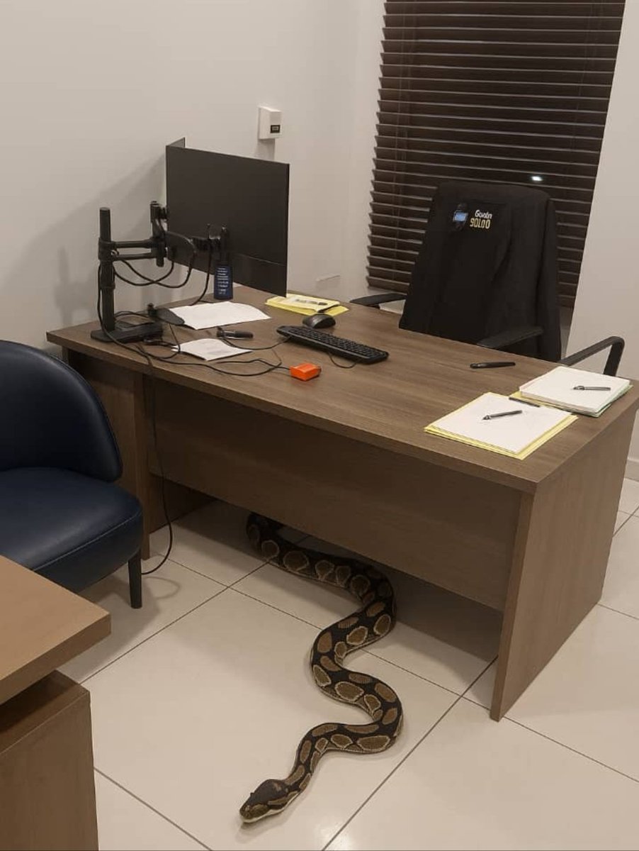 Ça muremure que ça s'est produit au Bureau du conseiller en matière de communication de <a href="/dkadimaofficiel/">Denis Kadima Kazadi</a> président la <a href="/cenirdc/">Ceni-RDC</a> Un fait mystique qui fait froid au dos. <a href="/chauffeur243/">CHAUFFEUR Tout-Kin</a> ne me dit pas que t'es pas au courant !