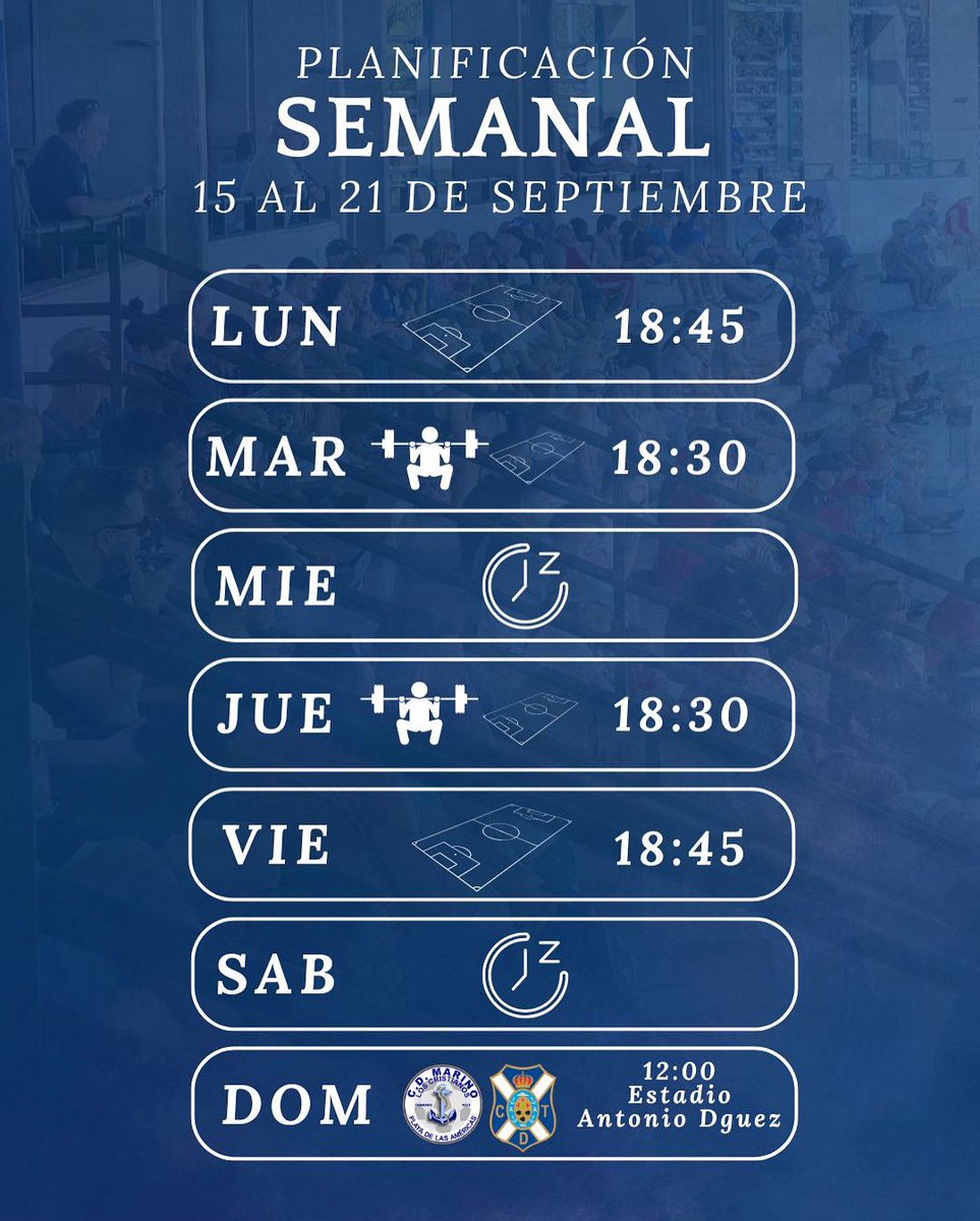 Plan de Trabajo Semanal 🤩💙