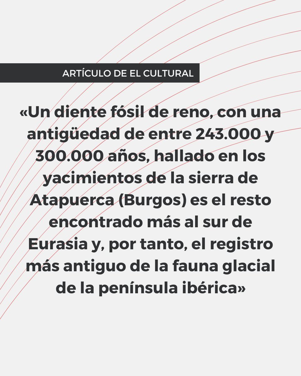 ArtiCom_UPV's tweet photo. Recomendaciones para el inicio de curso.📚🪴

🗞️"Hallan en Atapuerca la evidencia más antigua de fauna glacial en la península ibérica", un artículo de El Cultural. https://t.co/U87oQlZxhh