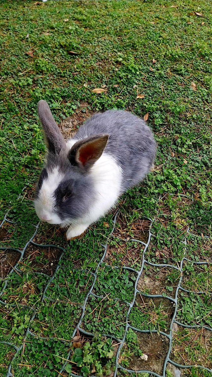 Bisognerebbe fare come i bambini cge si meravigliano per tutto.
#ComeMeraviglia