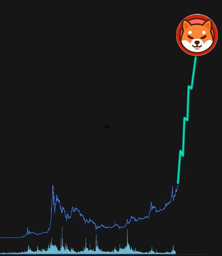 好马配好鞍＝好狗加好运  SHIC冉冉升起的新星