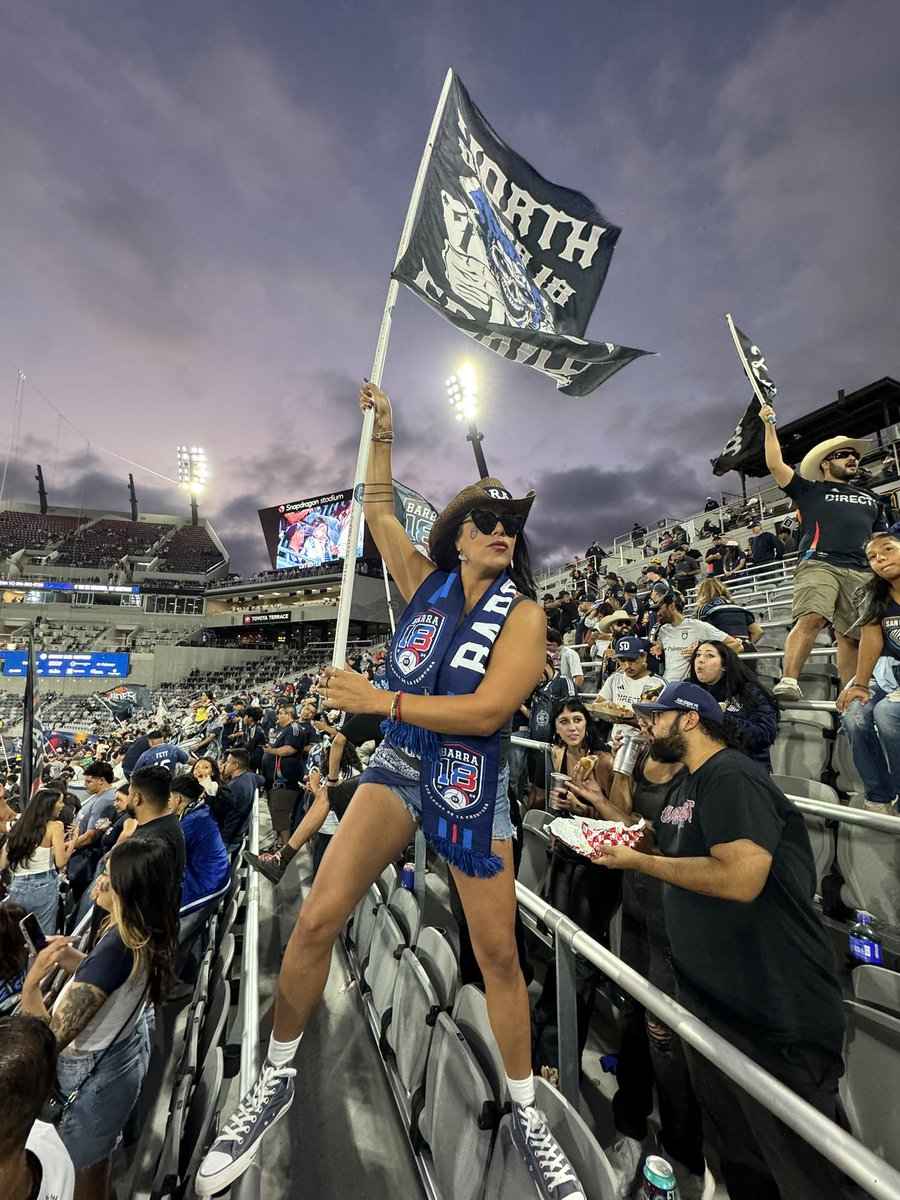 Saint Bernadette tweet media