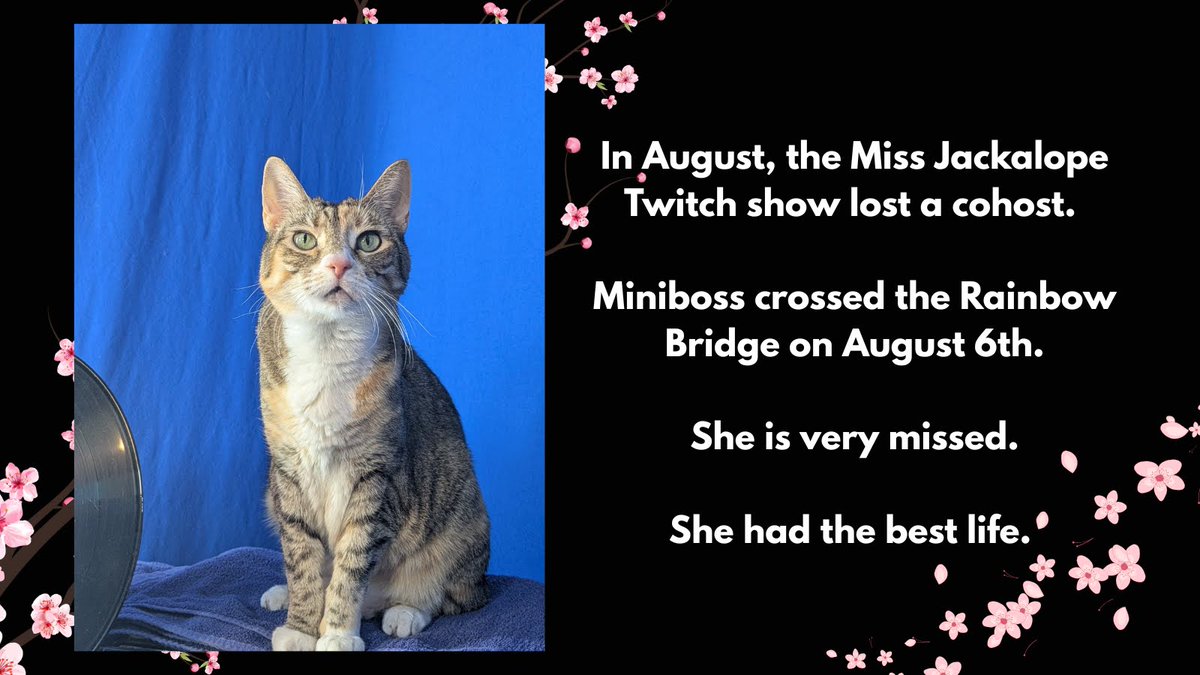 Miss Jackalope / @MissJackalope@defcon.social tweet media