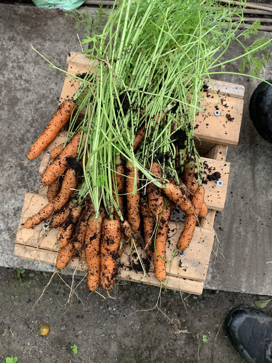 Tony Cottam tweet media