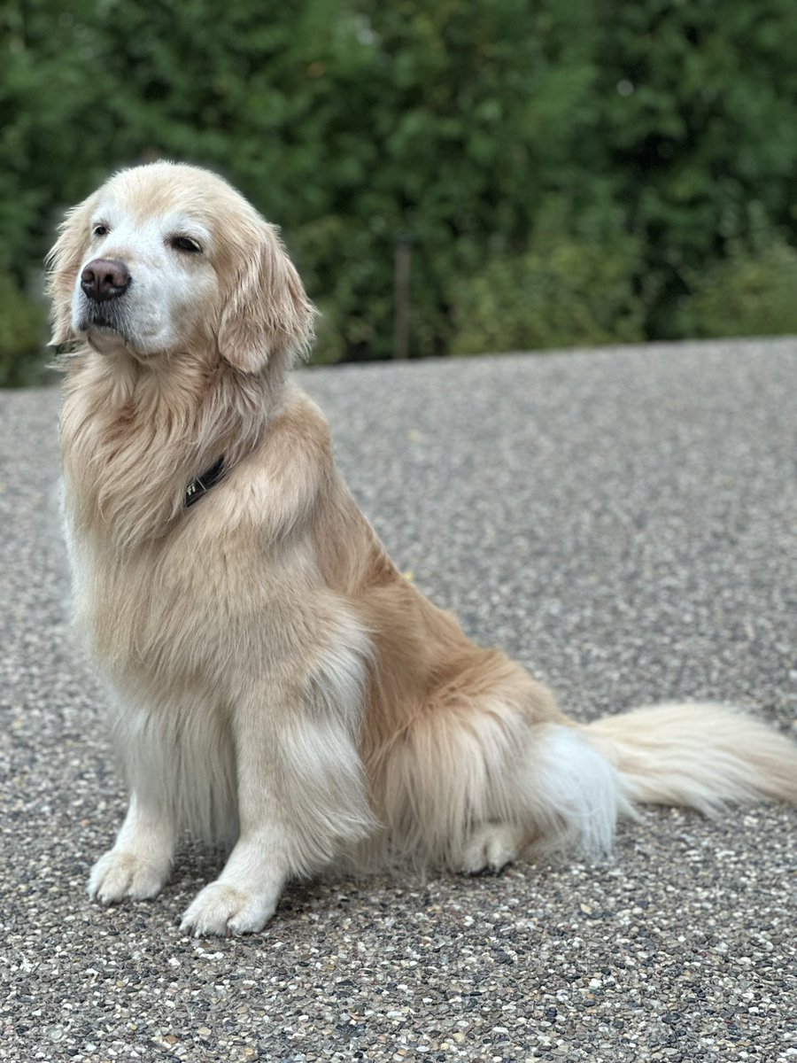 We thank each and every one of you for all the love and support you have given our family. Spreading light and positivity was what Betty did best. Every day was a great day, and a chance to make a new best friend. We hope her spirit will live on and spread goodness everywhere. 💛