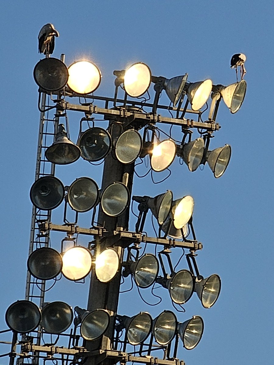 Tornar al Camp d'Esports ja és un premi, però s'ha de ser realistes i reconèixer que aquesta temporada serà molt difícil 

El tema de la megafonia crec que és un impossible, no se sent res i de les torres d'iluminacio millor no parlem, el millor les cigonyes 😉

#MesViusQueMai