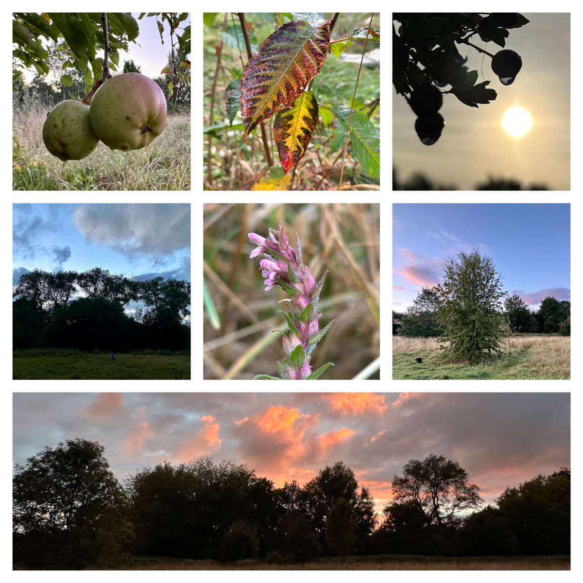 Jay Up North tweet media