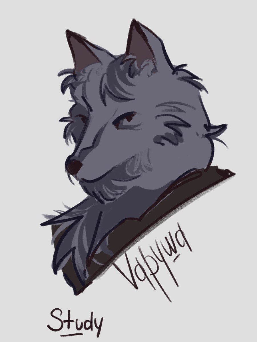 vapywa's tweet photo. Study
#furry #art https://t.co/y7zMUQ7LwR