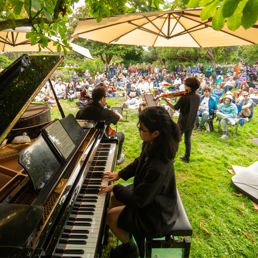 "Flower Piano" is this week.

They place a dozen pianos in gorgeous places in GG Park for people to play.

It's a great time &amp; I always see really cool stuff there - check it out!

free for residents