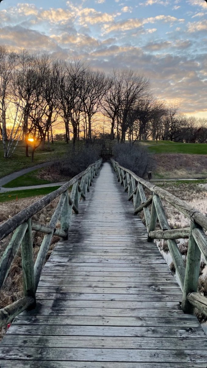 bdaaes's tweet image. Touch grass.