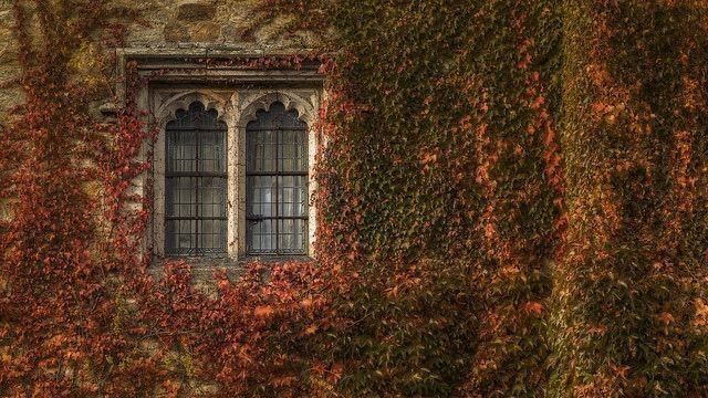AcademiaDreams's tweet photo. beautiful autumn 🍂🍁 https://t.co/iQH6rmJq7Q