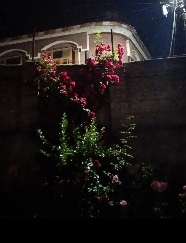 Mirza Irham tweet media