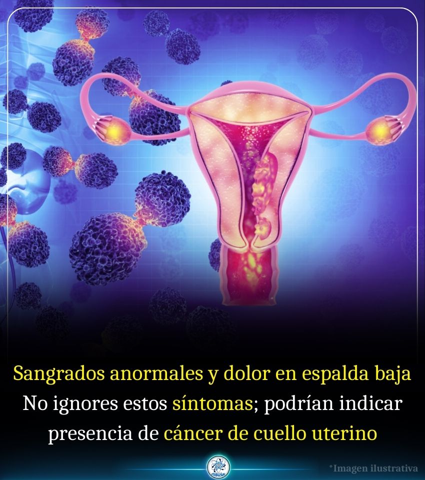 Enséñame de Ciencia (@ensedeciencia) on Twitter photo 