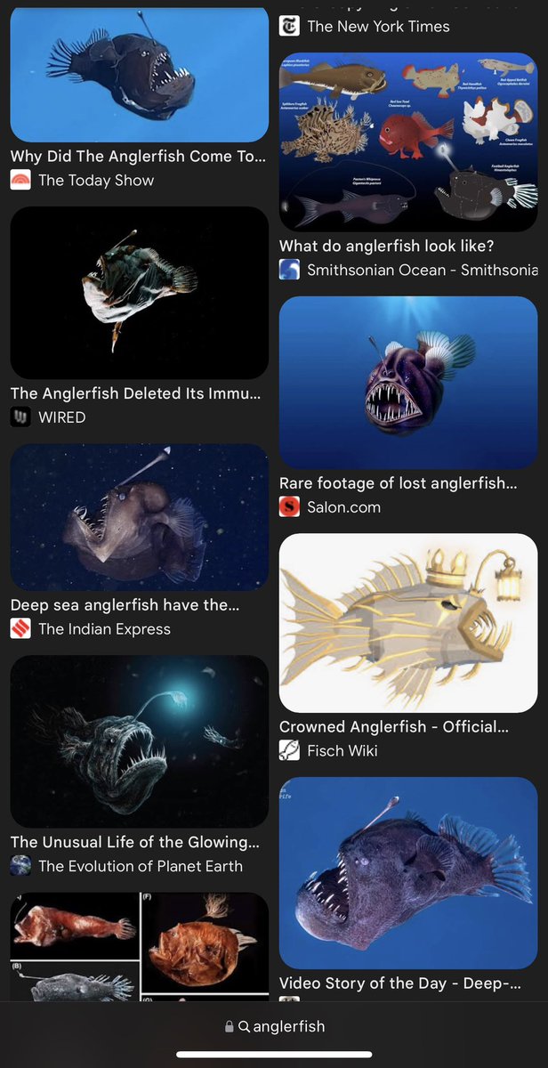 shizzleWorld's tweet photo. That anglerfish go far oo😂😂

#BBNaija https://t.co/eMHw8DOaym