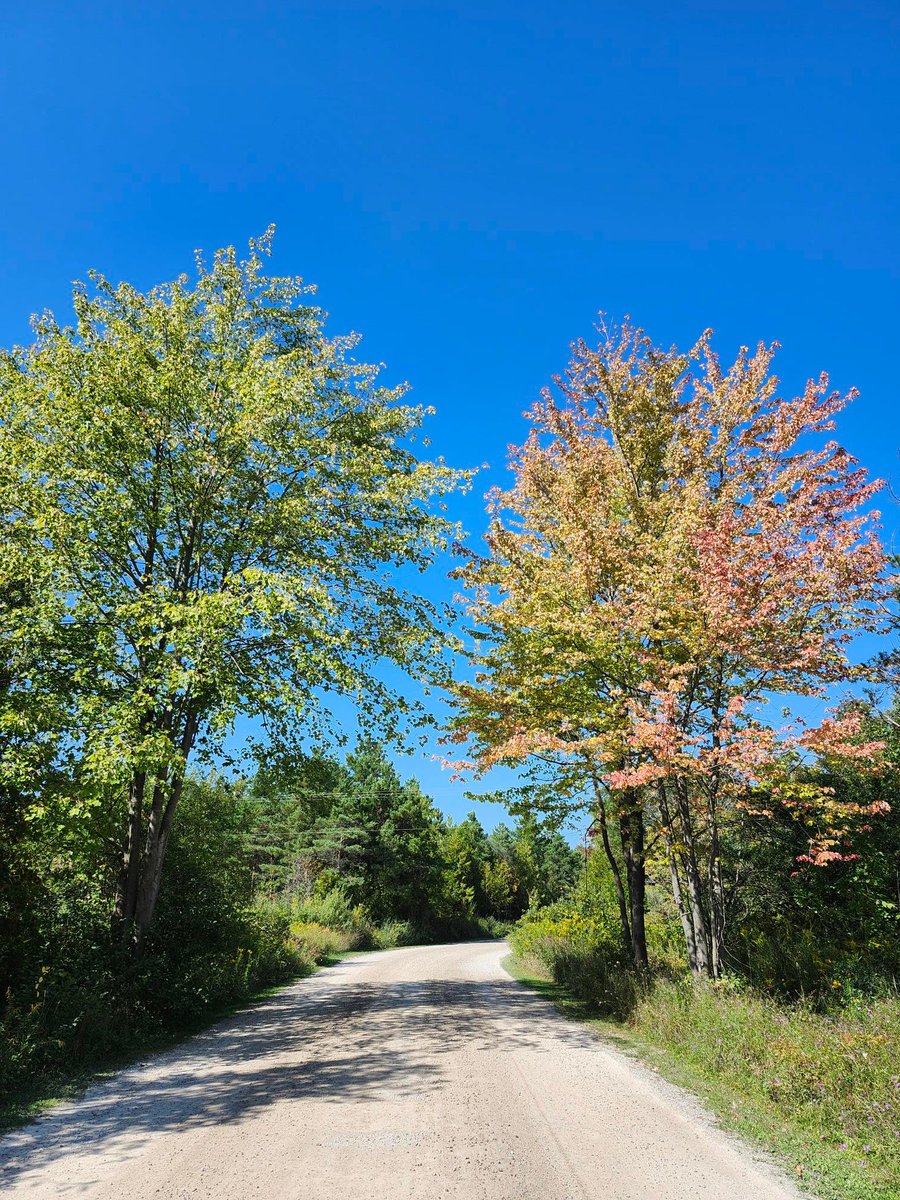 Point Farms PP tweet media