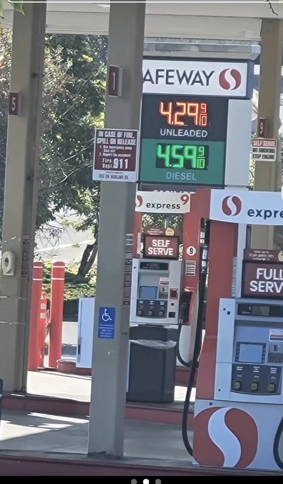 Suzie rizzio tweet media