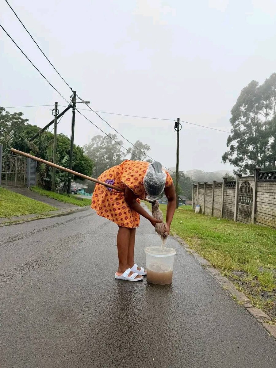 XekiHlongwane's tweet photo. If Orlando Pirates win the MTN8 this season, I will mop N1 from Cape to Cairo ๐ค๐๐โ๏ธโ๏ธ๐คฆโโ๏ธ๐คฆโโ๏ธ๐คง @orlandopirates #OnceAlways #MTN8 #MTN8Final https://t.co/le3u38x78X