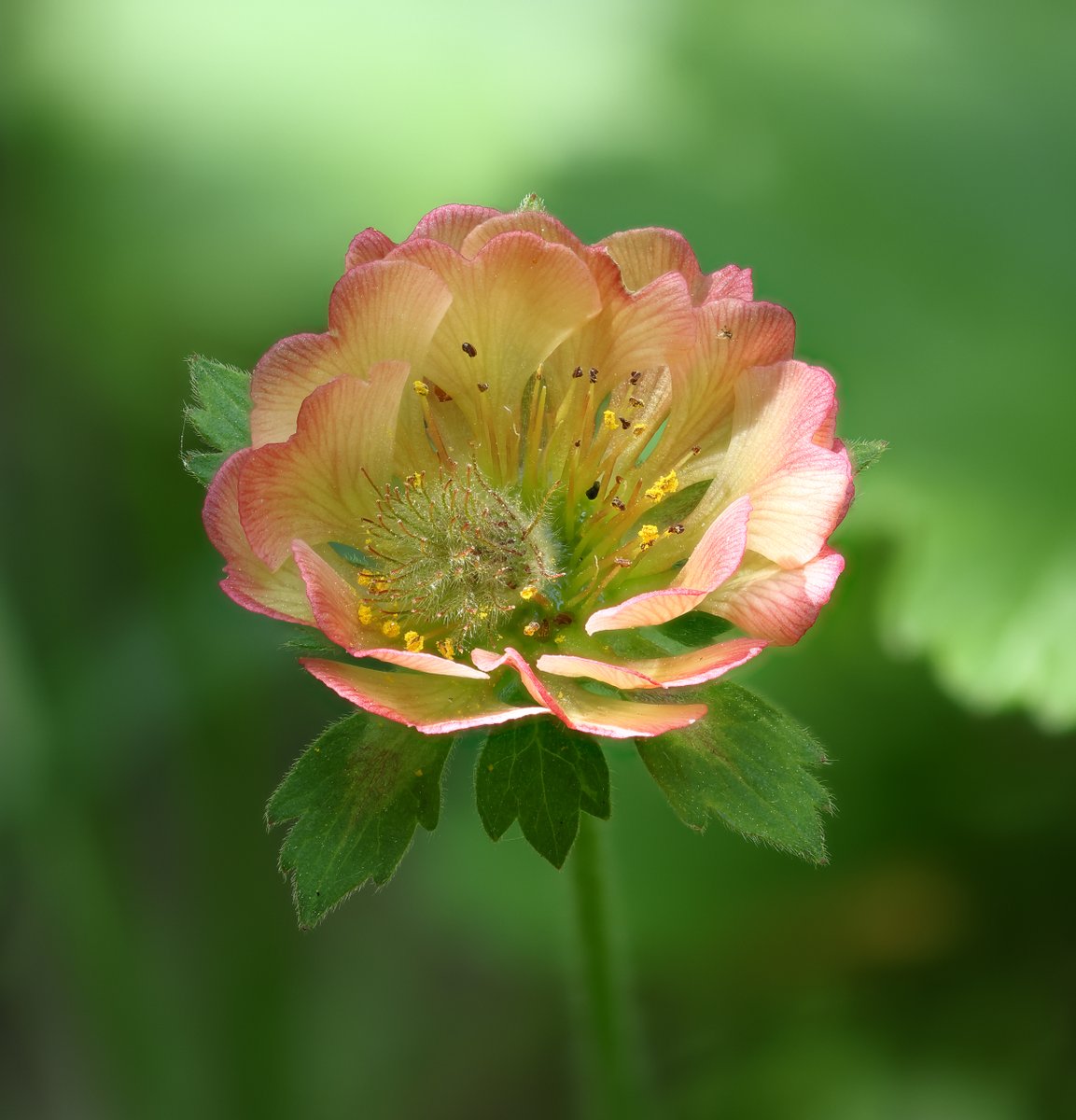 Dave O'Brien tweet media