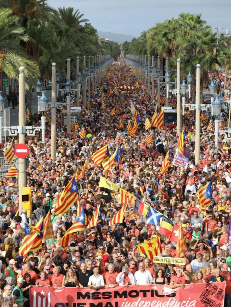 Douar Ha Frankiz en deus kemeret perzh e dibunadeg dileuridi etrebroadel an Diada gant Assemblea Nacional Catalana.
 Degemeret omp bet ivez an deiz war-lerc'h e burevioù an Assemblea ha gallet hon eus kaozeal gant an dileuridi ha kreñvaat al liammoù etrezomp.
Douar ha Frankiz