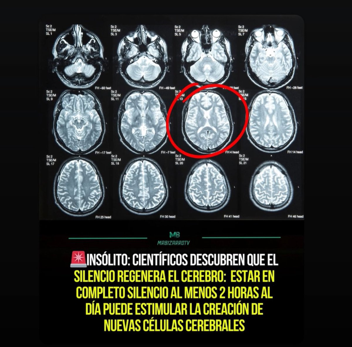 Avísenle a mi novia.