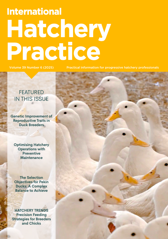International Hatchery Practice (39.6) is out now!

From genetics in duck breeders to hatchery optimisation, pre-heating eggs, and insights into feeders and drinkers, this issue is packed with practical knowledge. 

Don't miss an issue, sign up here: agriinsight.link/DigitalSubs