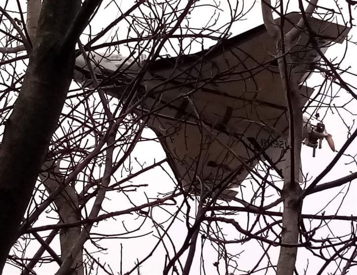 Andreas Papadopulos tweet media