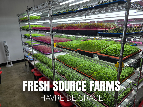 Meet the farms on the Maryland Farm Tours! Tour the innovative indoor farm and see how Fresh Source Farms grows 30 varieties of microgreens and edible flowers year-round in a climate-controlled environment. marylandfarmtours.com We can't wait to see you at #MarylandFarmTours!