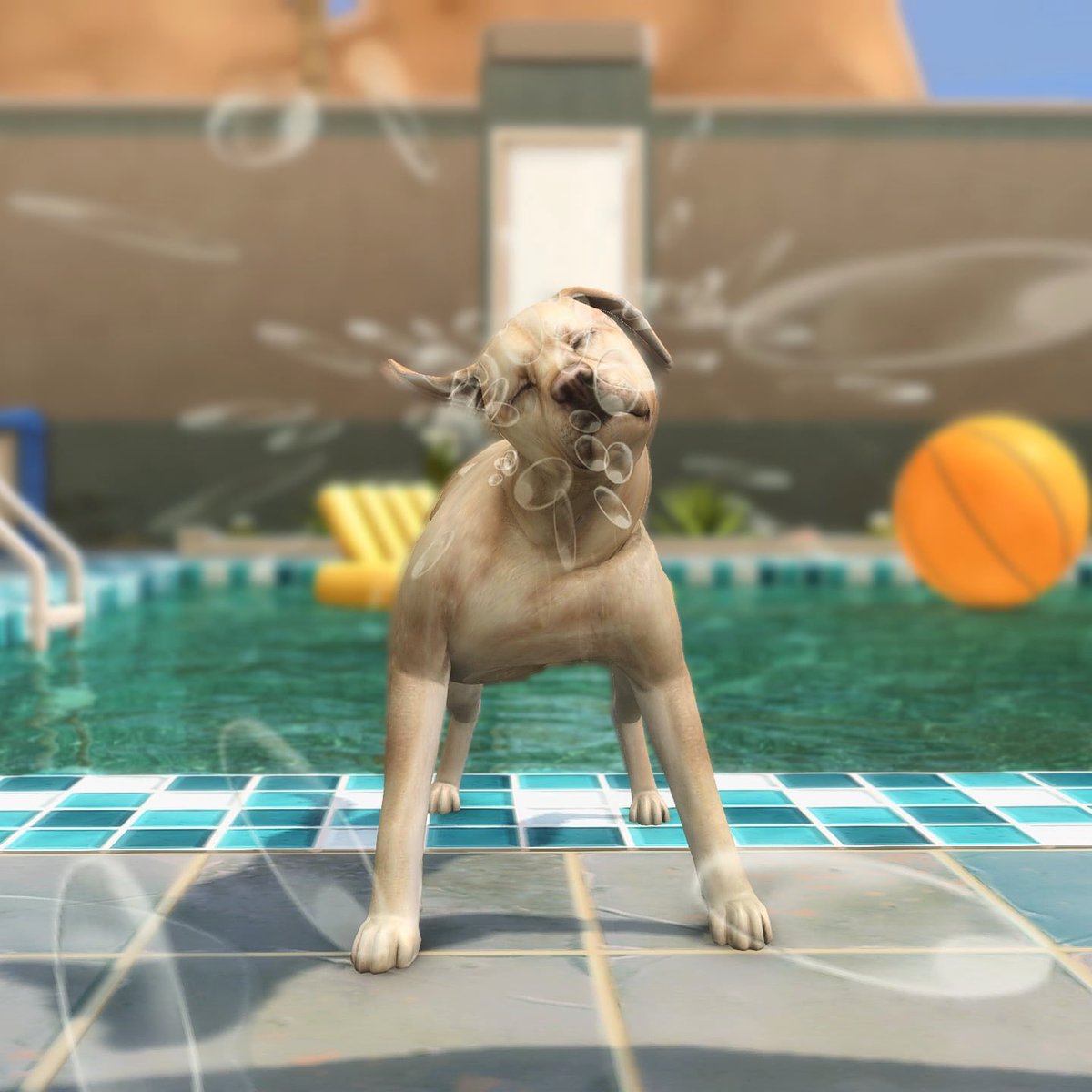 axiisims's tweet image. pool day with the pup 🍹