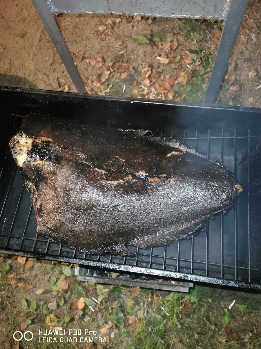 Tempus77's tweet image. Прощайте