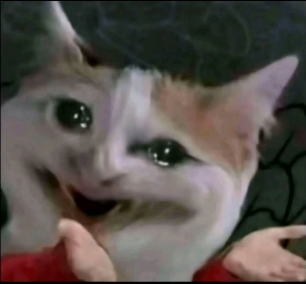 شوق 🇸🇦 tweet media