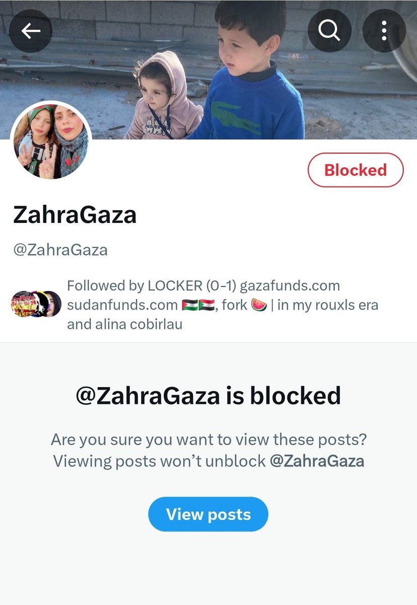 This is a scam account impersonating someone from Gaza. 

Do not donate and warn others.

There are a lot of other real verified campaigns in need of donations.