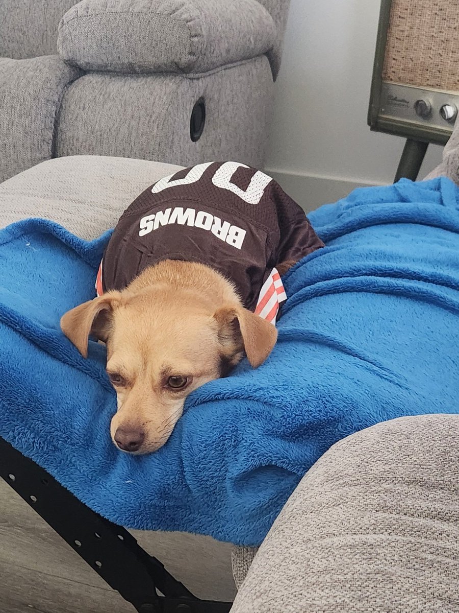 Peanut looks like every <a href="/Browns/">Cleveland Browns</a> fan right now