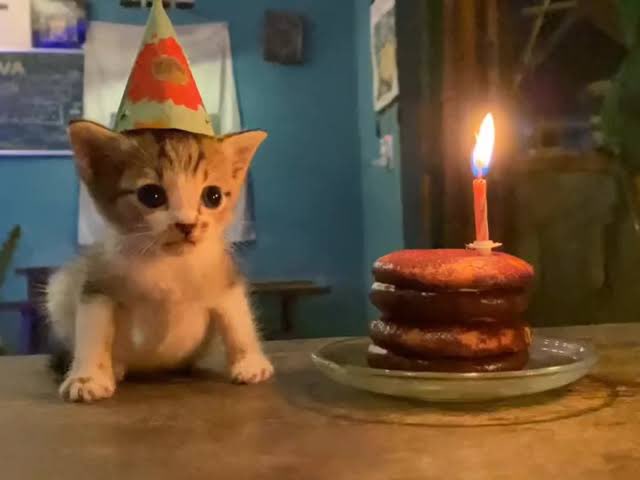 OVERHUMANlTY's tweet image. ⠀⠀⠀⠀

⠀⠀⠀⠀HAPPY BIRTHDAY MY 
⠀⠀⠀⠀FAVOURITE !! 🐈‍⬛ 🎂 

⠀⠀⠀⠀