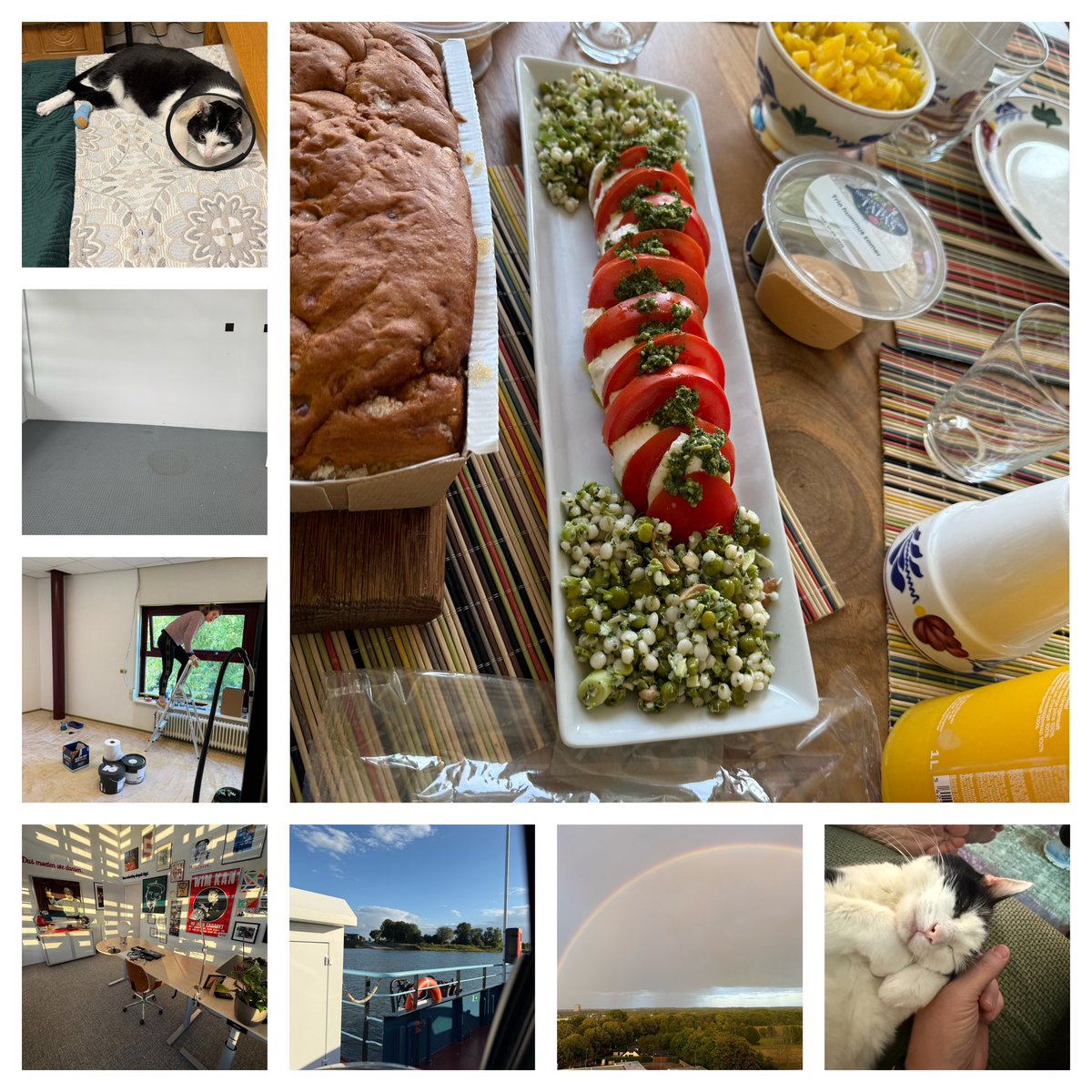 Edithmolmans's tweet image. #deweekisweerom