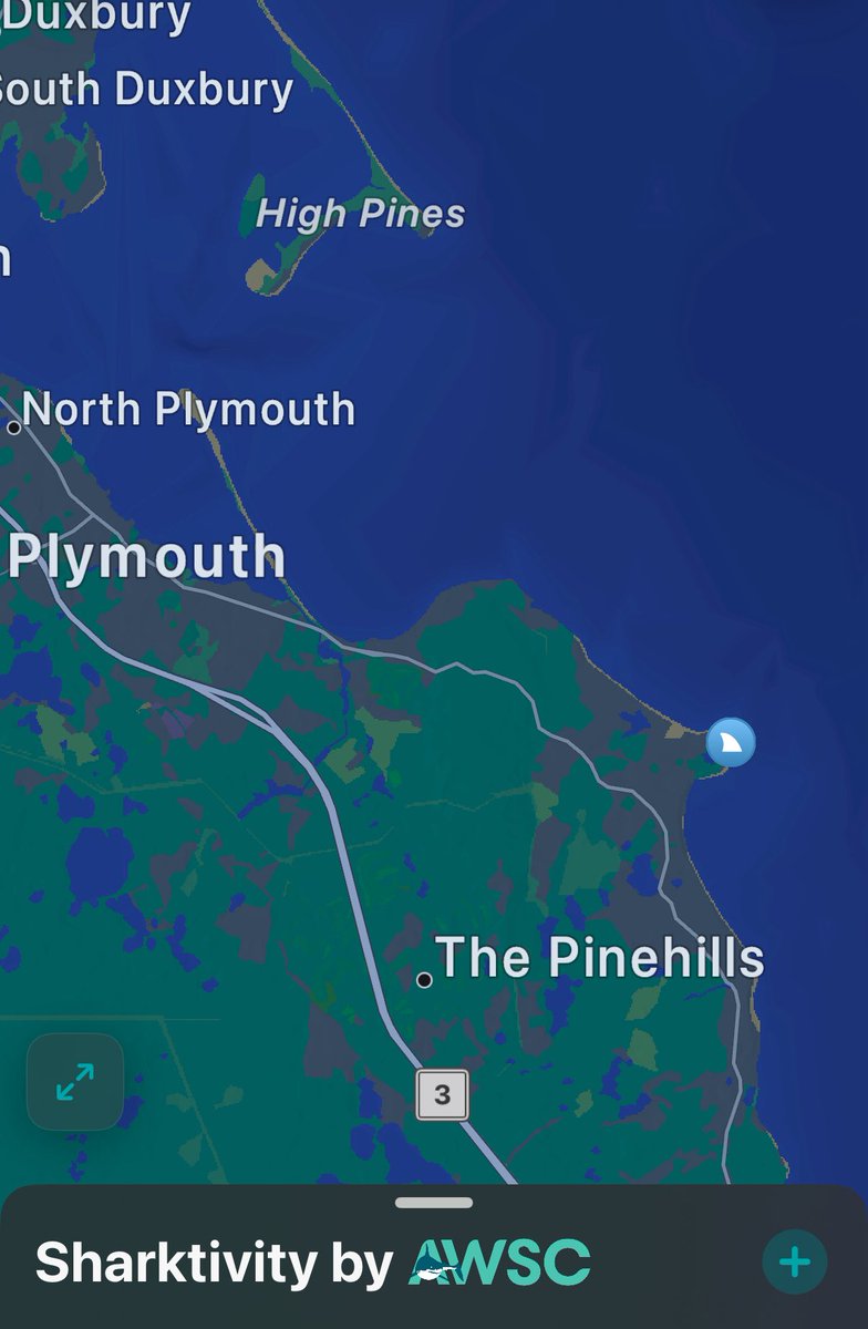 MA Sharks 🦈 tweet media