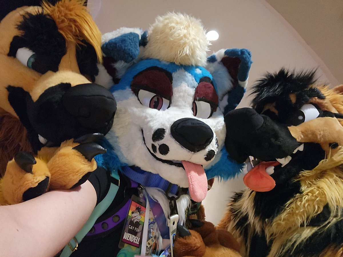 Ran into a buncha very good bois at #Megaplex2025 💙🐶🥹

<a href="/HipsterDawg/">Samuel Shep/Tank Dobie 🔜 Samuel’s Birthday Bash</a> <a href="/MarviWuff/">Marvii The Collie</a> <a href="/HopeCollie/">Hope Collie 🔜 MFF</a> <a href="/TwerKingShep/">♔ “brown dog fursuit” ✨</a> <a href="/rustydawggo/">Rusty</a>