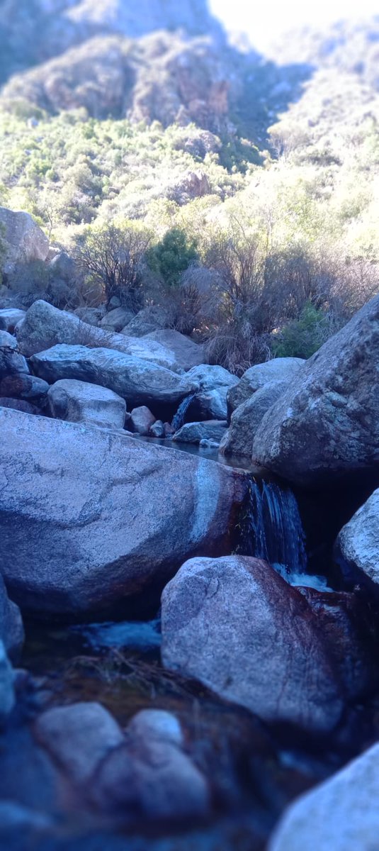 Griselafernandez tweet media