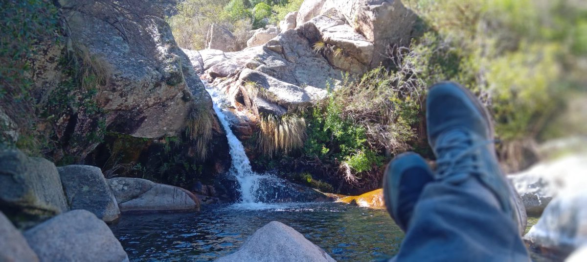 Griselafernandez tweet media