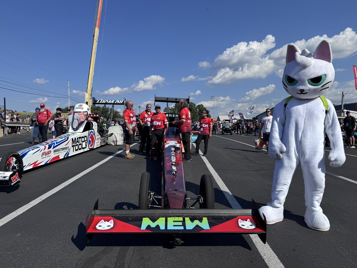 MEW tweet media