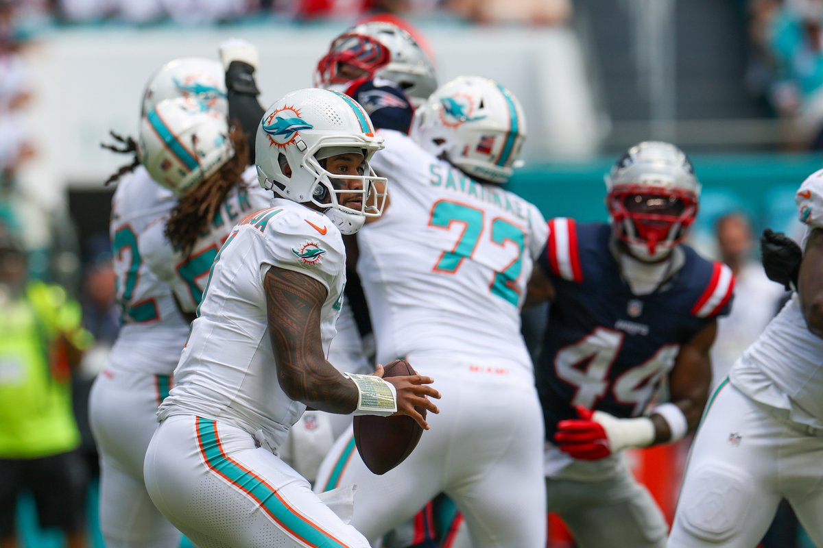 Dolphin Nation tweet media