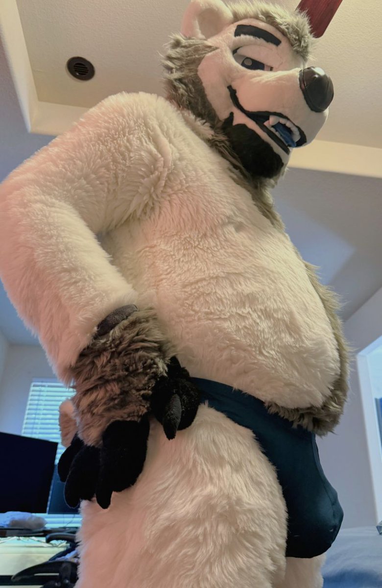 LateNightPudge's tweet photo. Fat Bear Fat Bulge 🐻‍❄️❤️ https://t.co/Dffo90wxH3