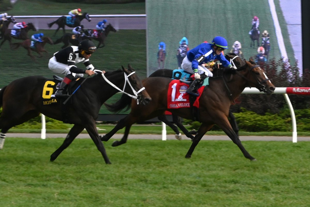 MR. WILL WONG 📸 tweet media