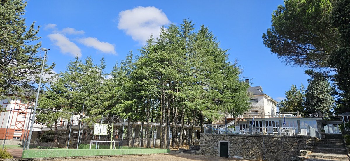 En el sufrimiento se puede y debe encontrar sentido a nuestra vida #sanjuandedios #sjdreflexión #humanización