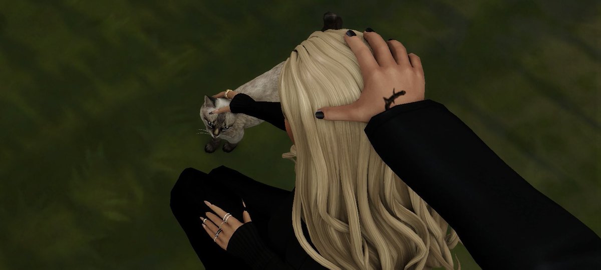 simsmarr's tweet image. 