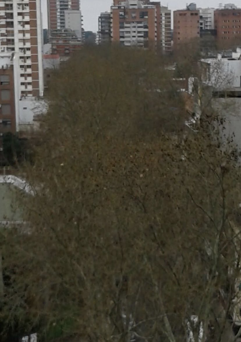 A puro brote!!!🌱♥️