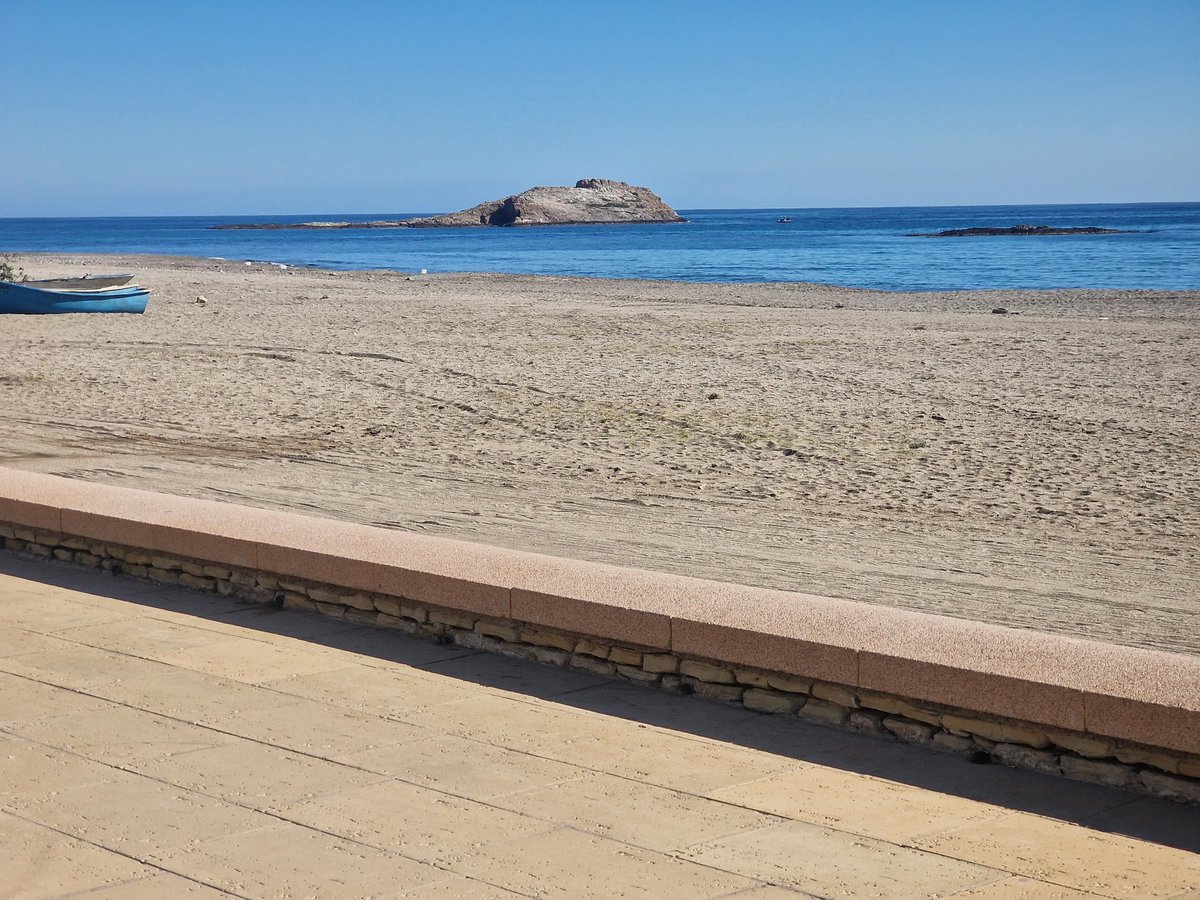 Helena Bayo tweet media