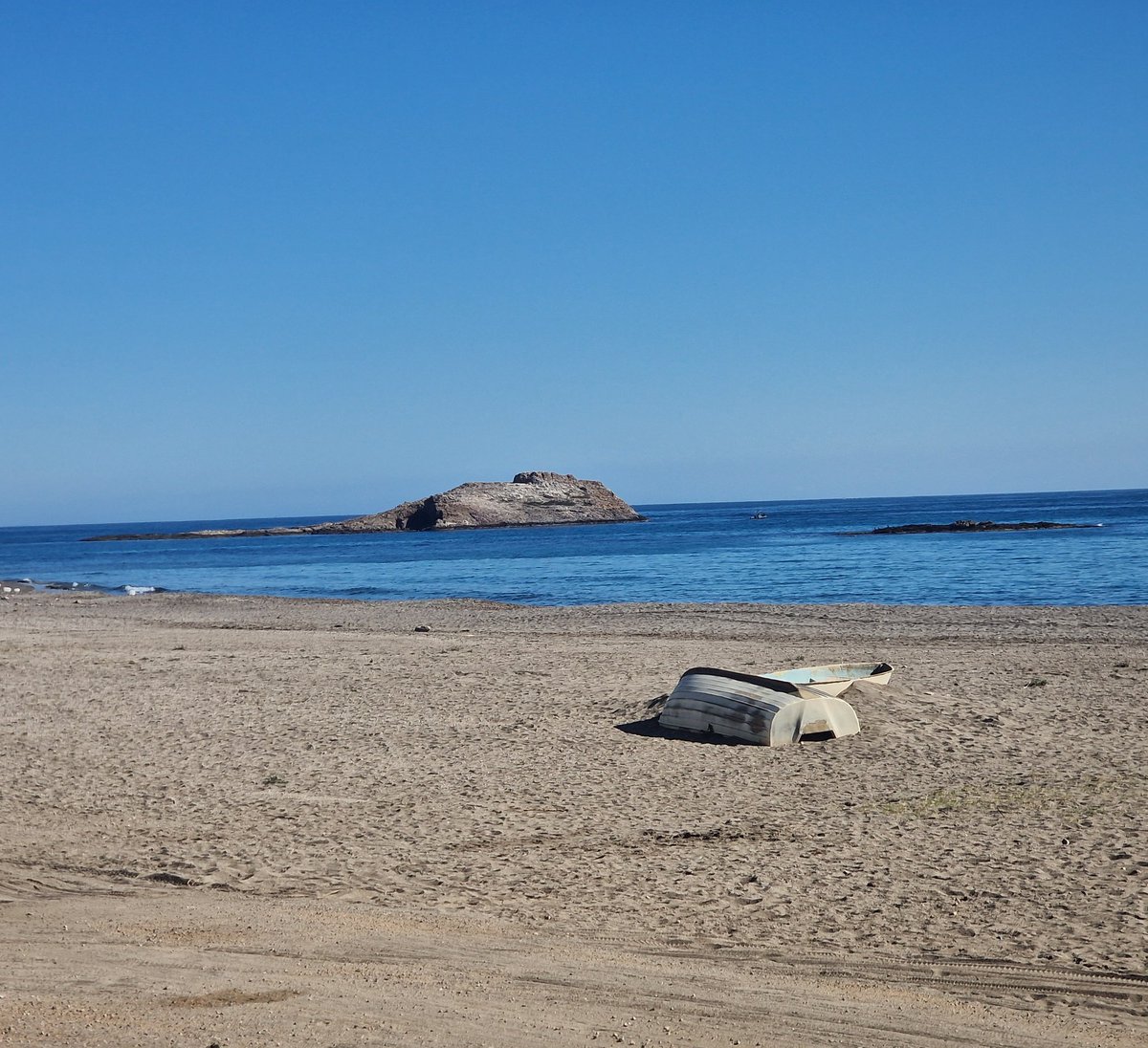 Helena Bayo tweet media