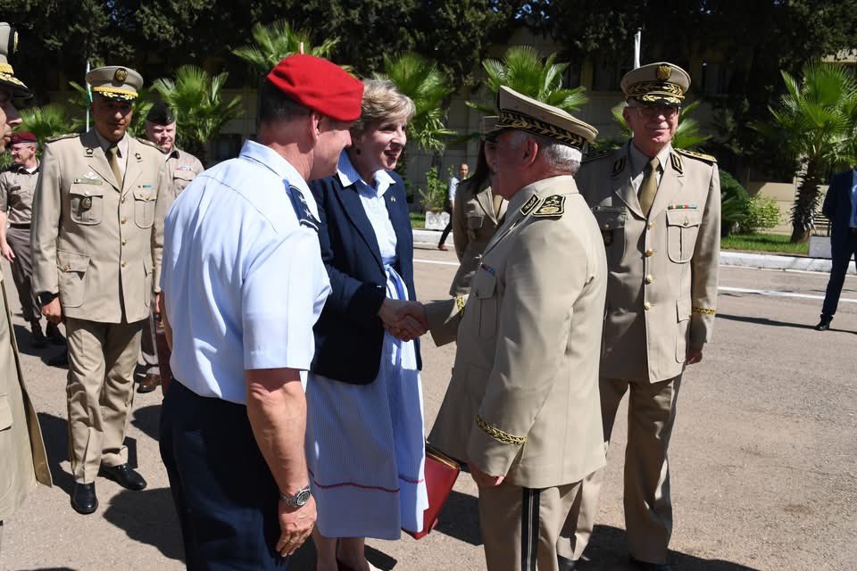 أحمد حفصي || HAFSI AHMED tweet media