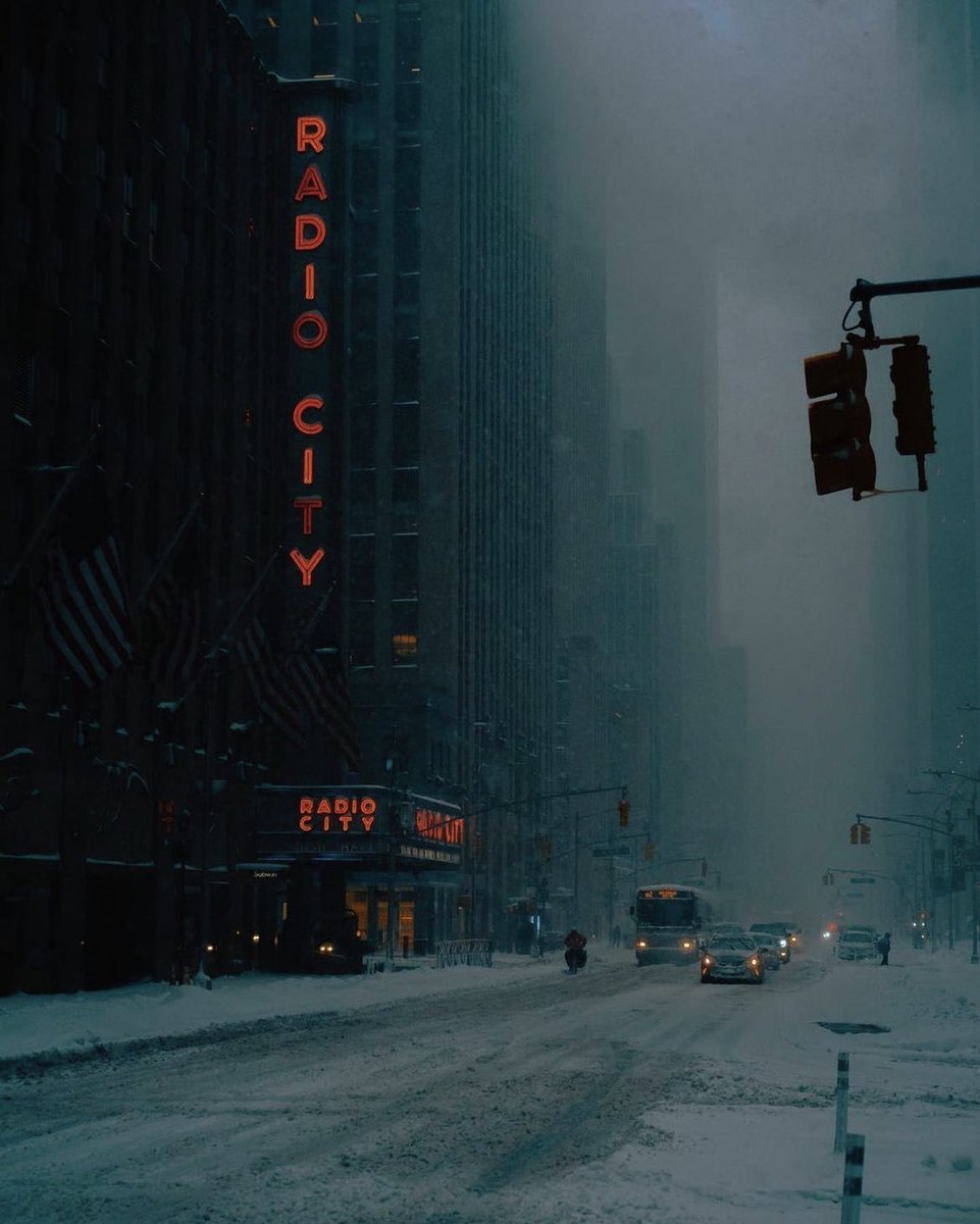 Winter in New York ❄️